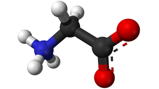 Glycine (neurotransmitter): What it is and How it Acts on