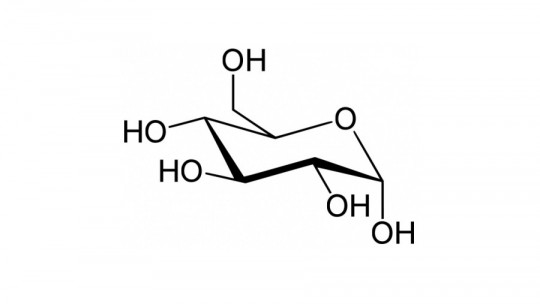 Glycolysis