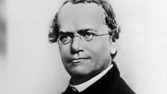 Gregor Mendel: Biography of the Father of Modern Genetics