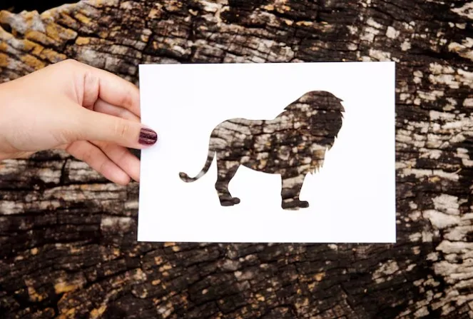 How Does HEXACO Agreeableness Differ From the Big Five?