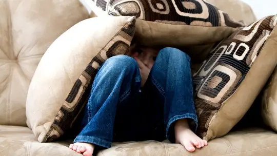 How to Identify Vicarious Violence in the Family Nucleus? How to Identify Vicarious Violence in the Family Nucleus?