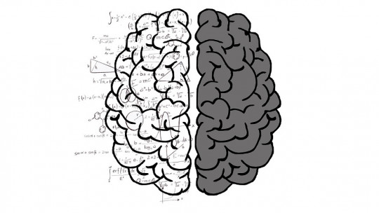 Human Brain: Its Structures and Main Areas