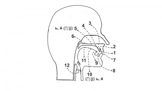 Speaking device