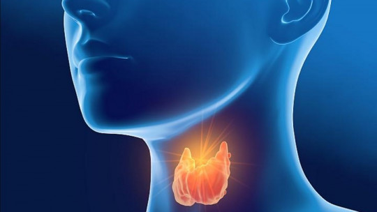 Hypothyroidism: Symptoms, Causes and Treatment