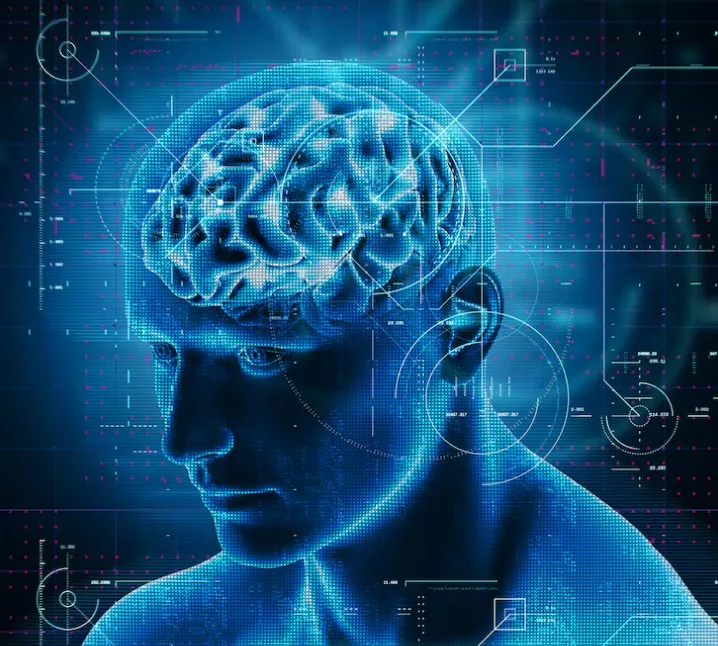 Is the triune brain theory scientifically accurate?