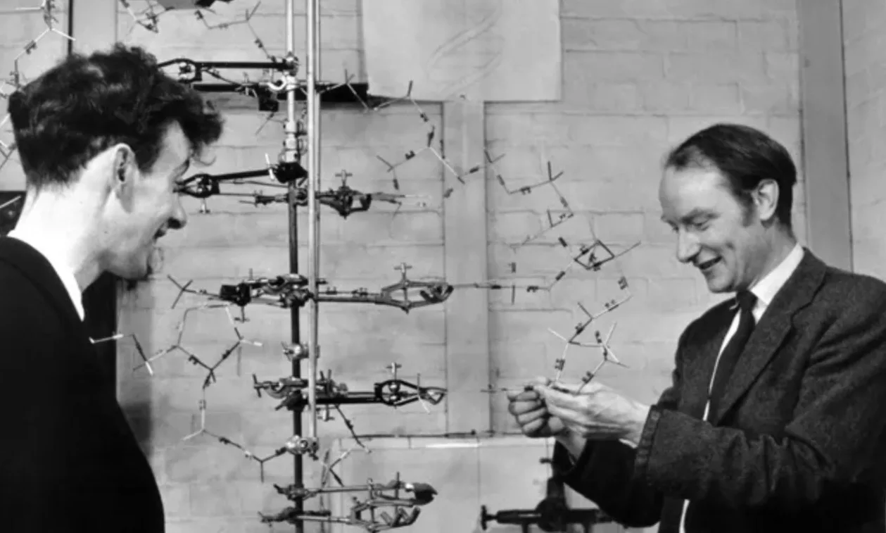 James Watson and Francis Crick Building the DNA Double Helix