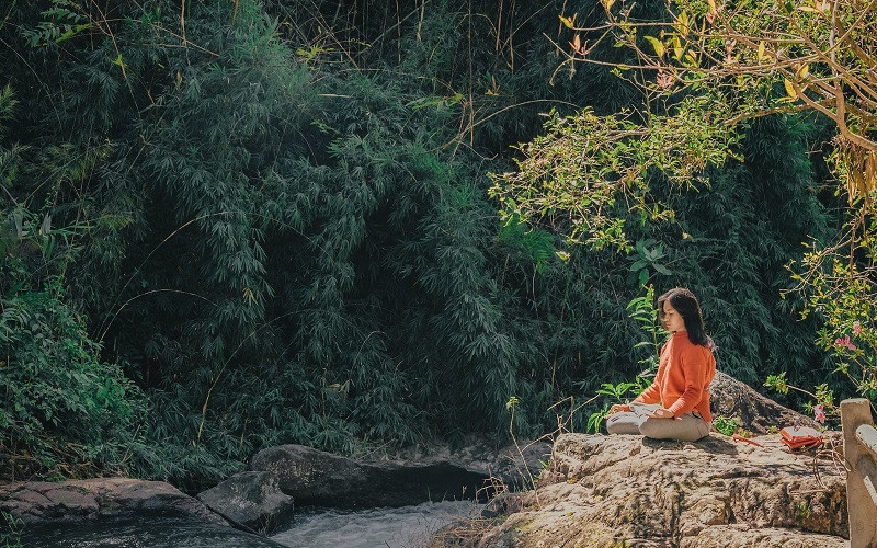 Meditation