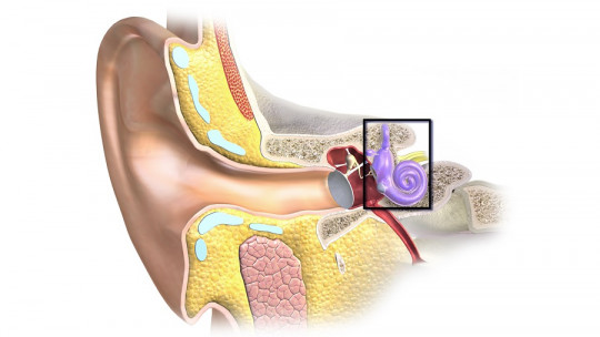 Ménière's Disease: Symptoms, Causes and Treatment