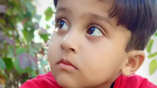 Mixed Receptive Expressive Language Disorder: What is It?