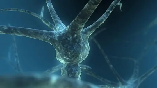Neuronal death what is it and why does it occur