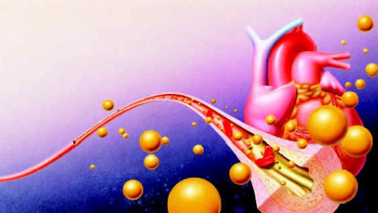 Nitric Oxide (neurotransmitter): Definition and Functions