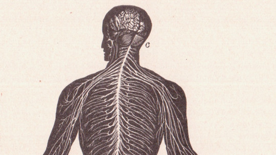 Nociceptors (pain Receptors): Definition and Types