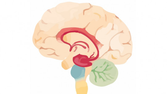 Organic Brain Syndrome: What it Is, Causes and Associated Symptoms