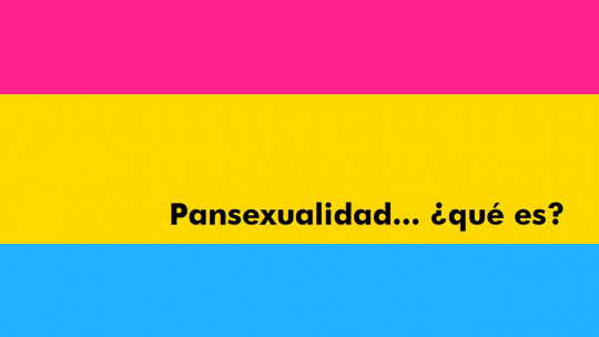 Pansexuality: a Sexual Option Beyond Gender Roles