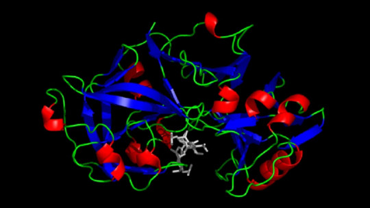 Pepsin: What it Is, Characteristics and Functions