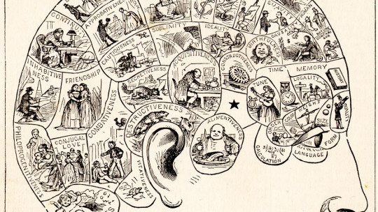 Phrenology: Measuring the Skull to Study the Mind