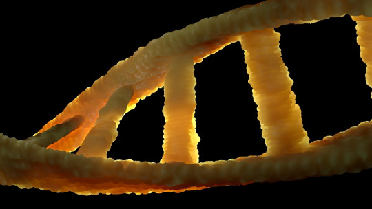 Pleiotropism: What it is and How it Affects People's Traits