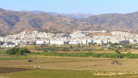 Psychologists Psicoabreu Opens a New Psychology Office in Vélez Málaga