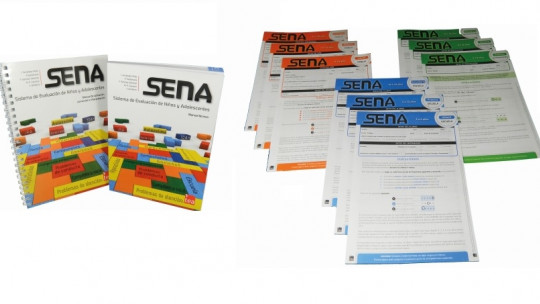 Sena: an Effective Clinical Evaluation System in the Child and