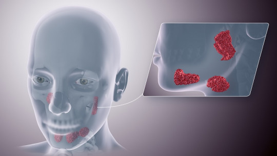 Salivary Glands: Types, Characteristics and Functions