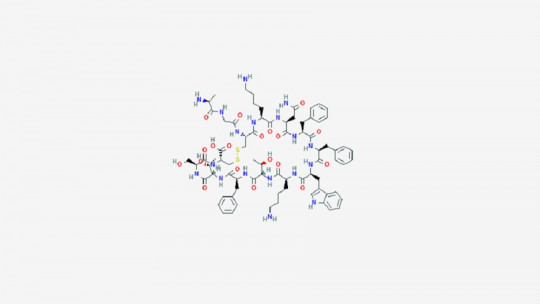 Somatostatin: Characteristics and Effects of This Hormone