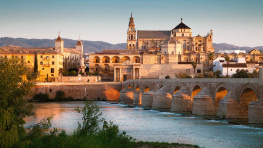 Geriatrics in Córdoba