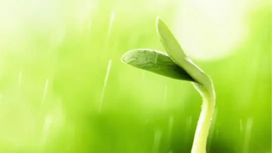 The 10 Main Theories of the Origin of Life
