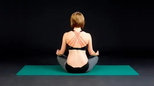 The 13 Best Books on Yoga The 13 Best Books on Yoga