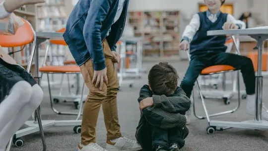 The 20 Myths About Bullying The 20 Myths About Bullying