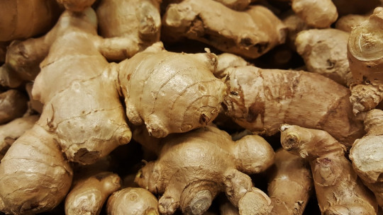 Contraindications of ginger