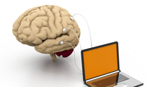 The 4 Differences Between Biofeedback and Neurofeedback