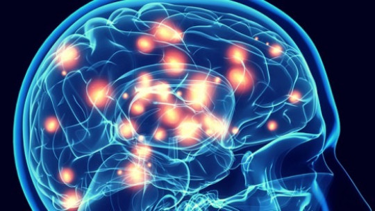 The 4 Phases of Neuropsychological Intervention (and Their Characteristics)