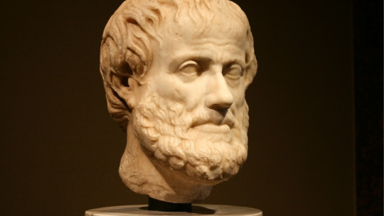 The 4 Types of Causes According to Aristotle