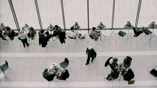 Hierarchical positions in a company