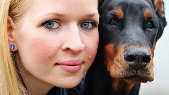 The 7 benefits of having a pet at home