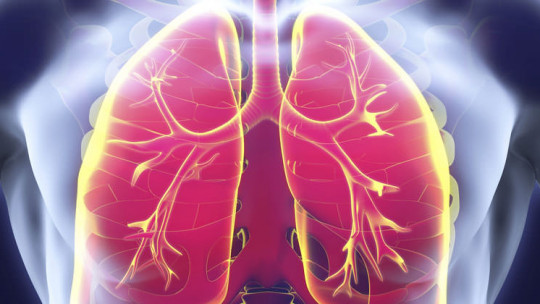 Types of pneumonia