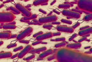 The Parasite That Causes Toxoplasmosis Controls the Mind and Causes Psychological Disorders and Suicides