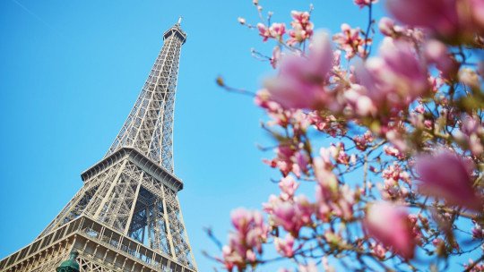 The School of Paris and 5 of Its Most Important