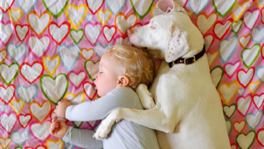 The Dog Who Overcomes Abuse Thanks to a Baby