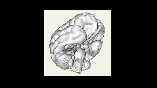 The Modular Theory of Mind: What it is and What