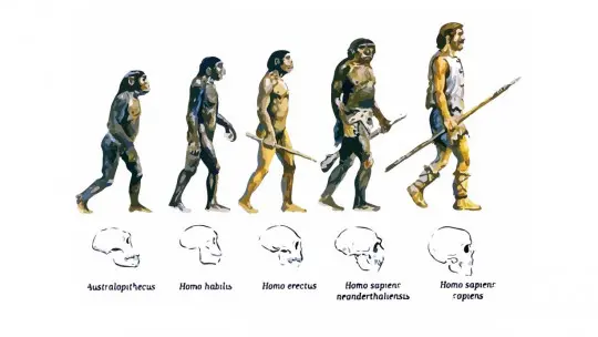 The theory of biological evolution what it is and what
