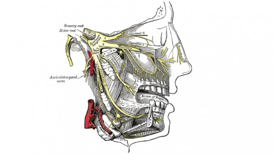 Trigeminal Neuralgia: Symptoms, Causes, Diagnosis and Treatment