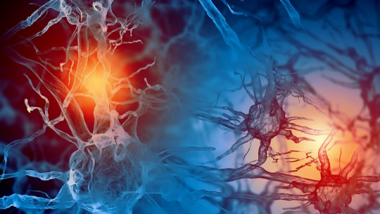 Types of Hormones and Their Functions in the Human Body