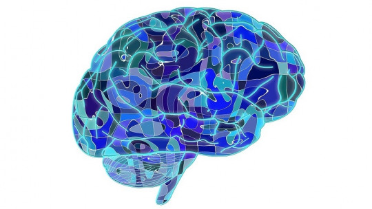 Types of Memory: How Does the Human Brain Store Memories?