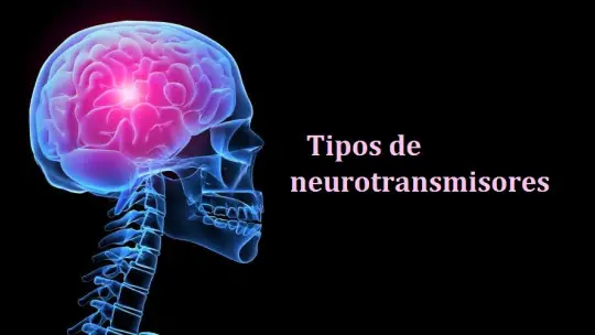 Types of neurotransmitters functions and classification