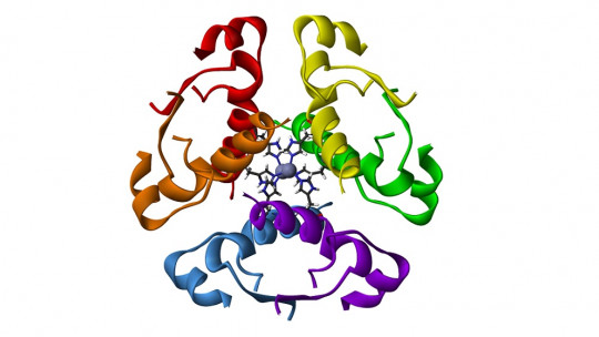 Vasopressin (antidiuretic Hormone): These Are Its Functions