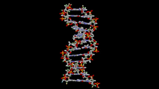 What is Dna? Its Characteristics, Parts and Functions