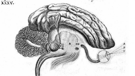 What is Physiological Psychology?