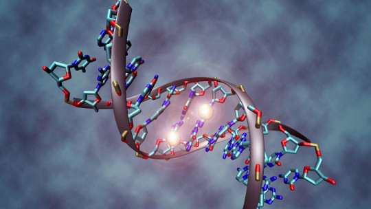 What is an Allele? Summary of This Concept of Genetics