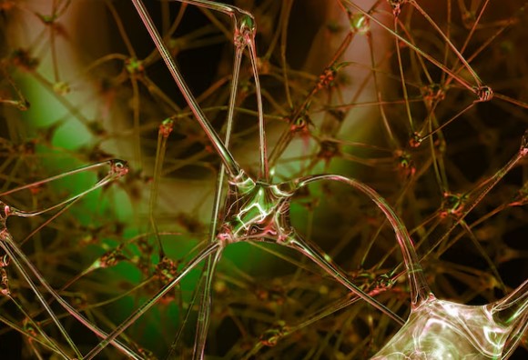 What is co-transmission, and who discovered that neurons release more than one chemical?
